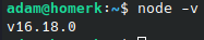 nodejs version linux terminal